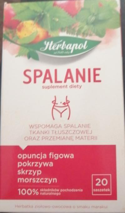 Zdjęcia - Herbapol Suplement diety herbatka ziołowo-owocowa spalanie 40 g (20 x 2 g)