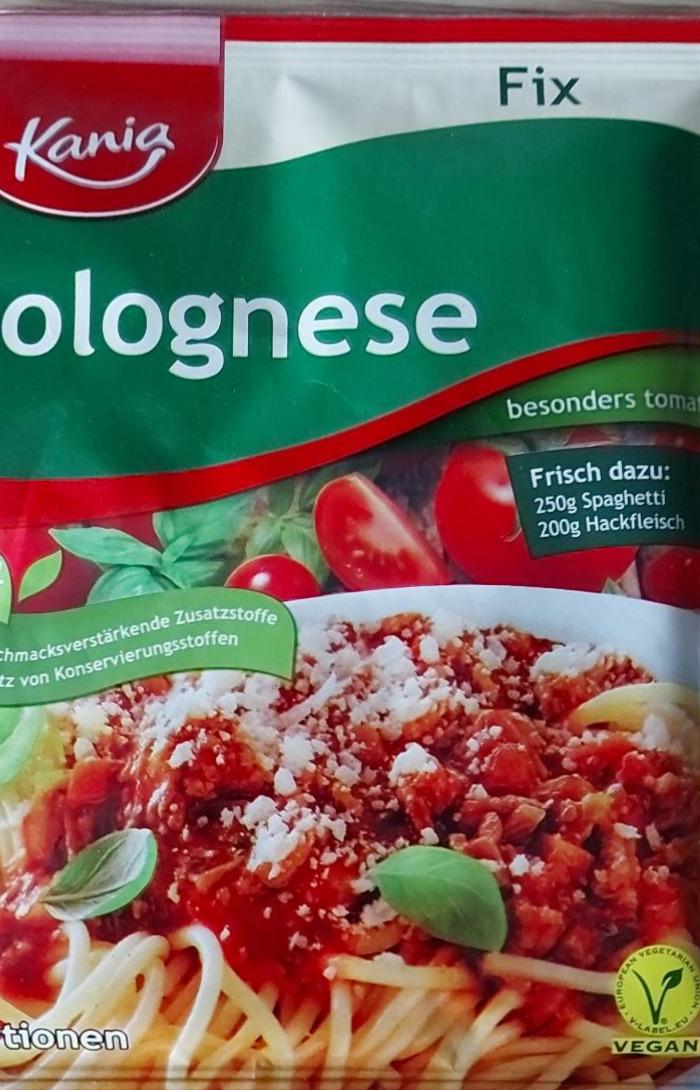 Zdjęcia - Bolognese Kania