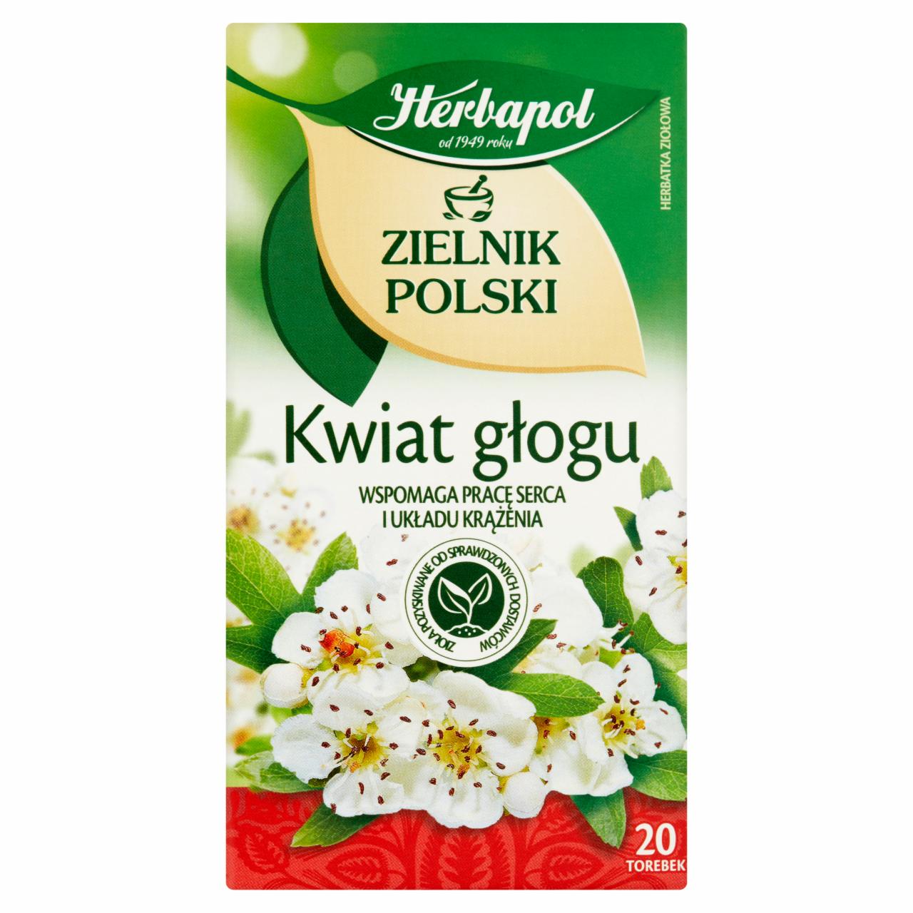 Zdjęcia - Herbapol Zielnik Polski Kwiat głogu Herbatka ziołowa 40 g (20 x 2 g)