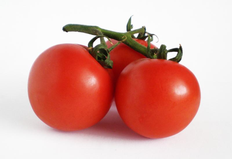 Zdjęcia - Pomidory