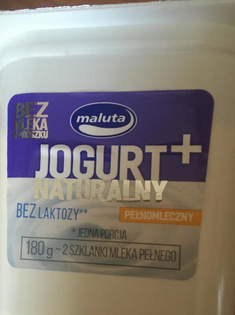 Zdjęcia - jogurt naturalny pełnomleczny bez laktozy Maluta