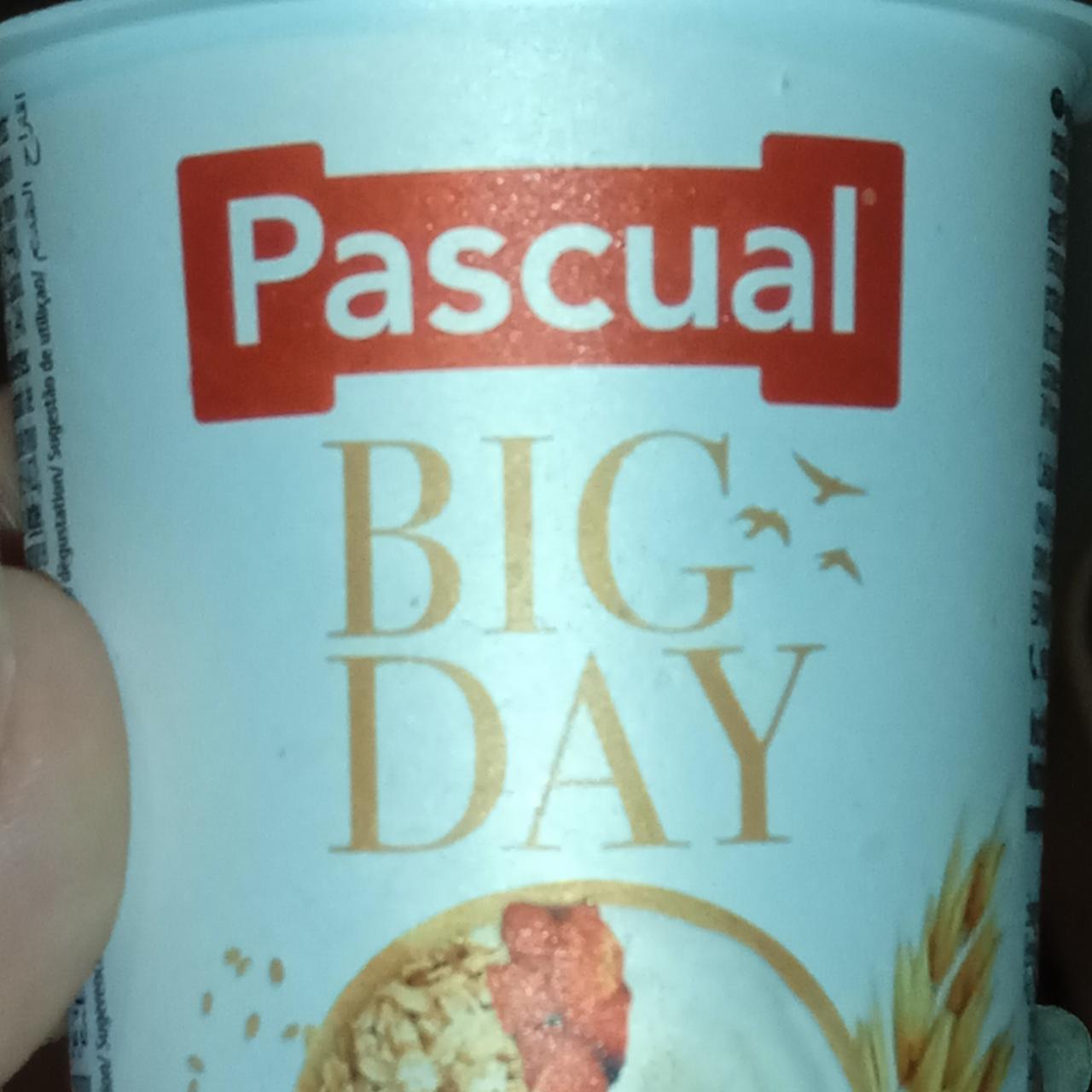 Zdjęcia - Jogurt Big Day Pascual