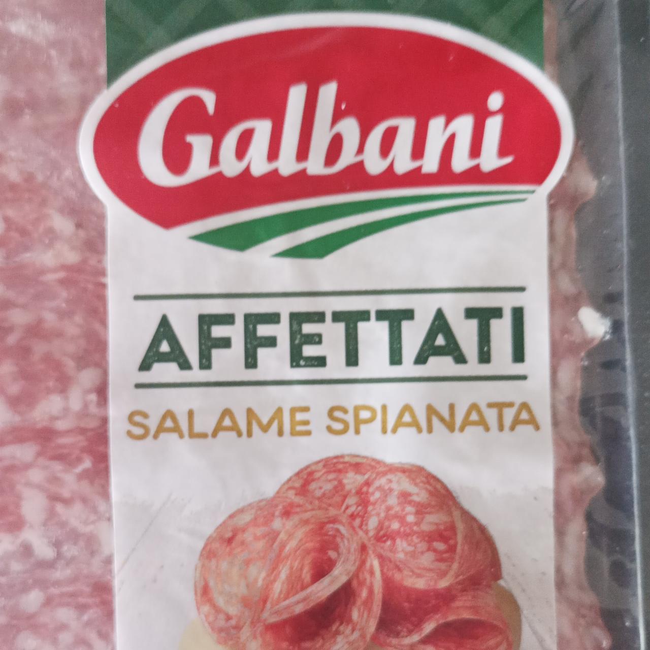 Zdjęcia - Salame Spianata Galbani