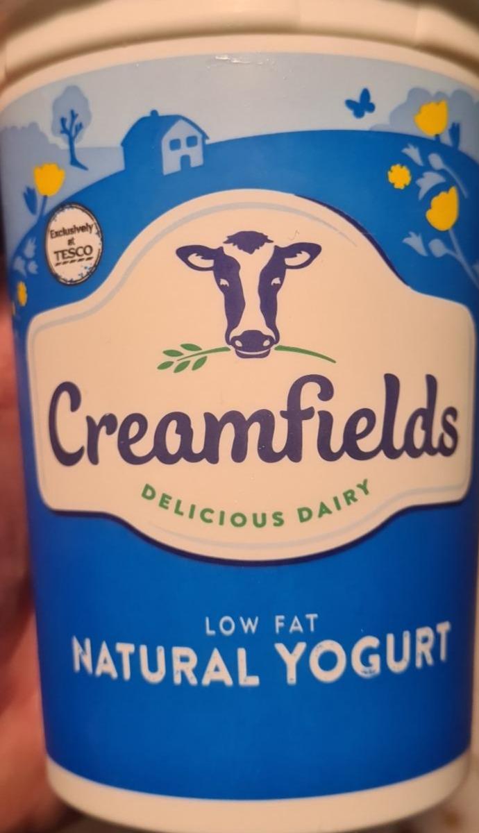Zdjęcia - low fat natural yogurt Tesco