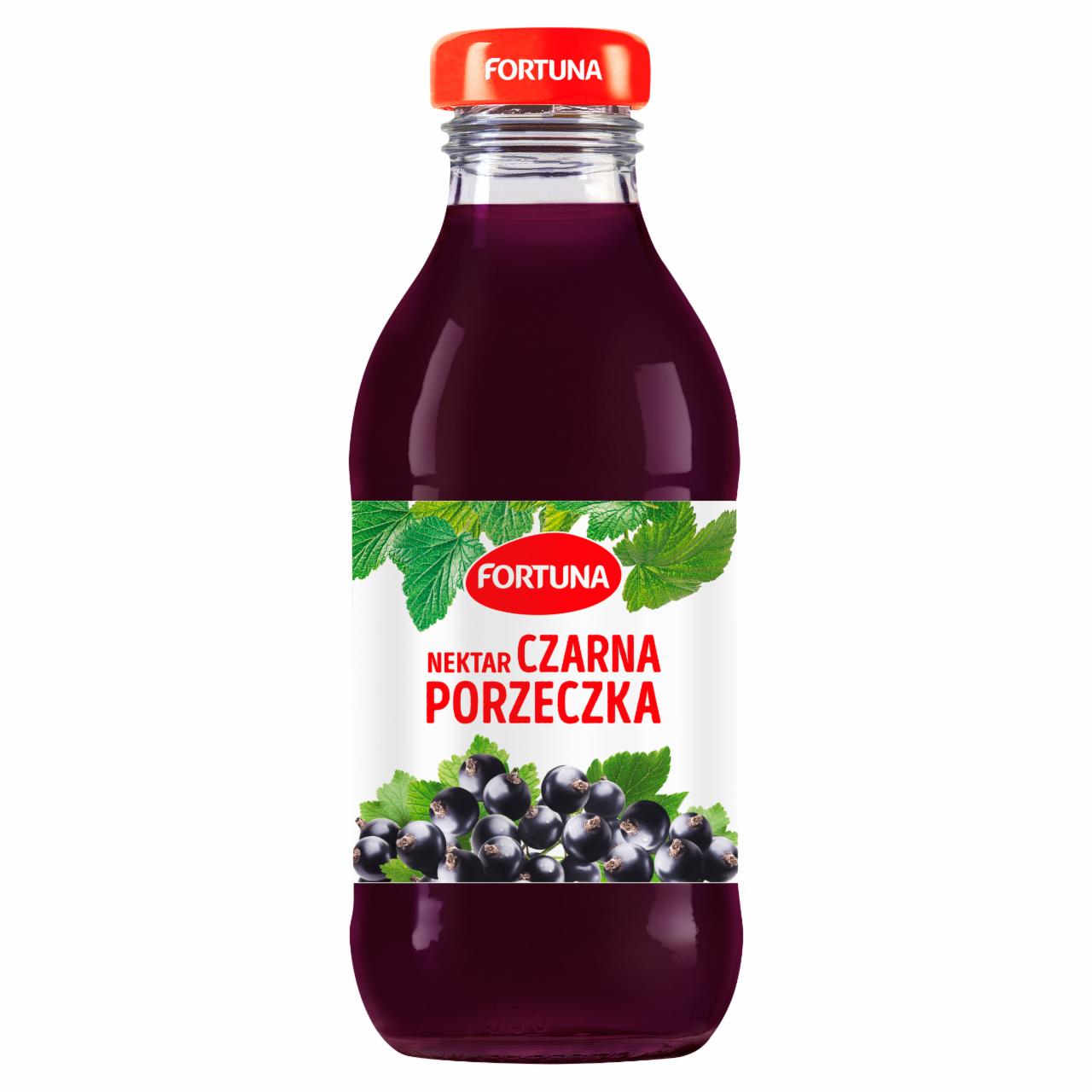 Zdjęcia - Fortuna Nektar czarna porzeczka 300 ml