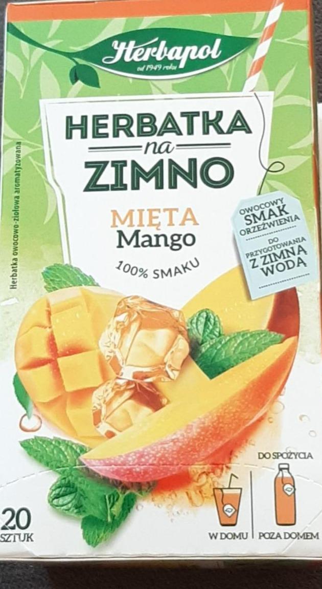 Zdjęcia - Herbapol Herbatka na zimno mięta mango 36 g (20 x 1,8 g)