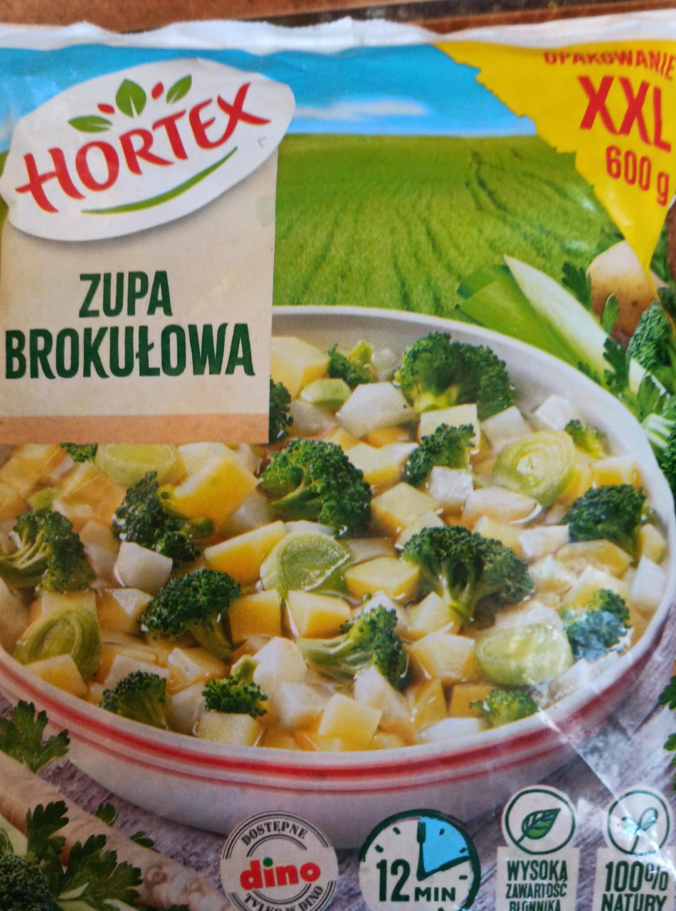 Zdjęcia - Zupa brokułowa Hortex