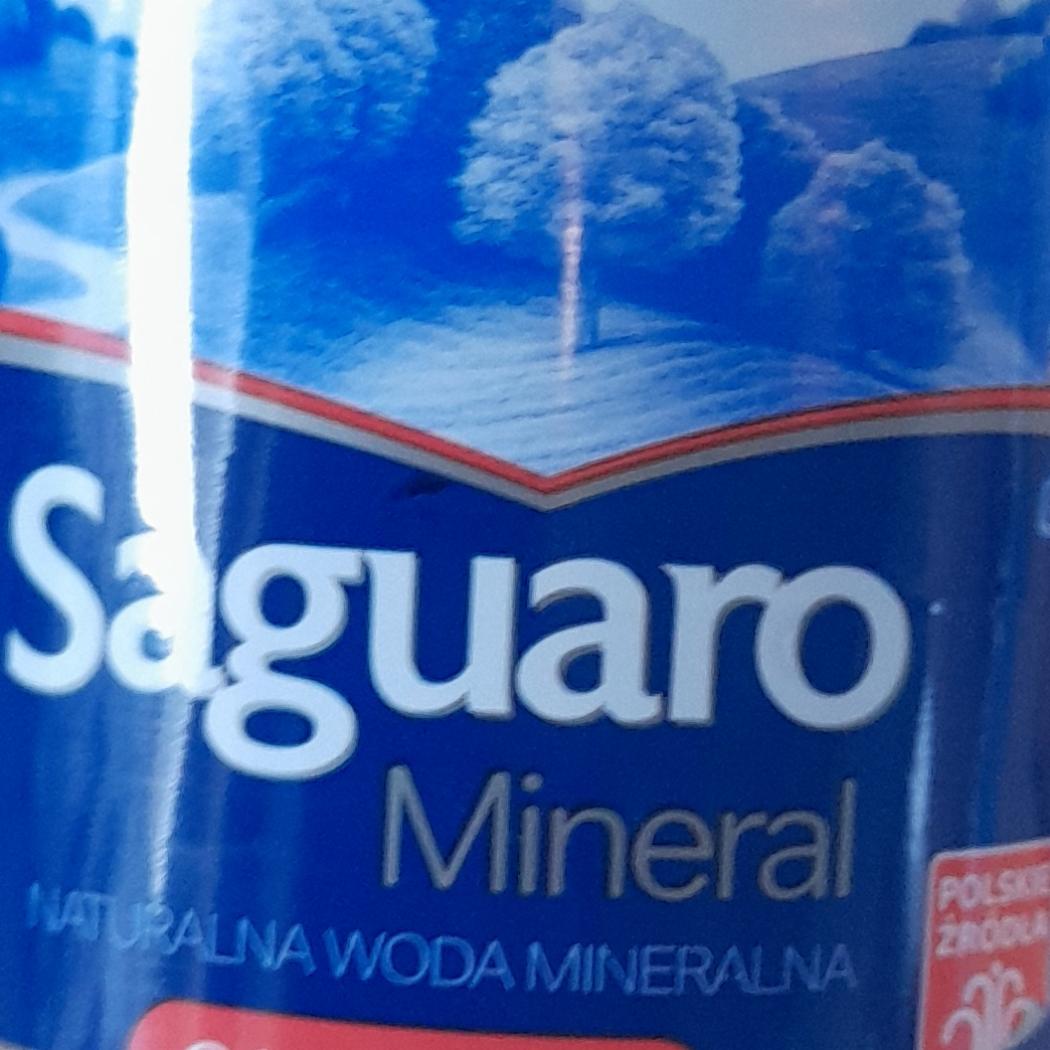 Zdjęcia - Woda mineralna gazowana Saguaro