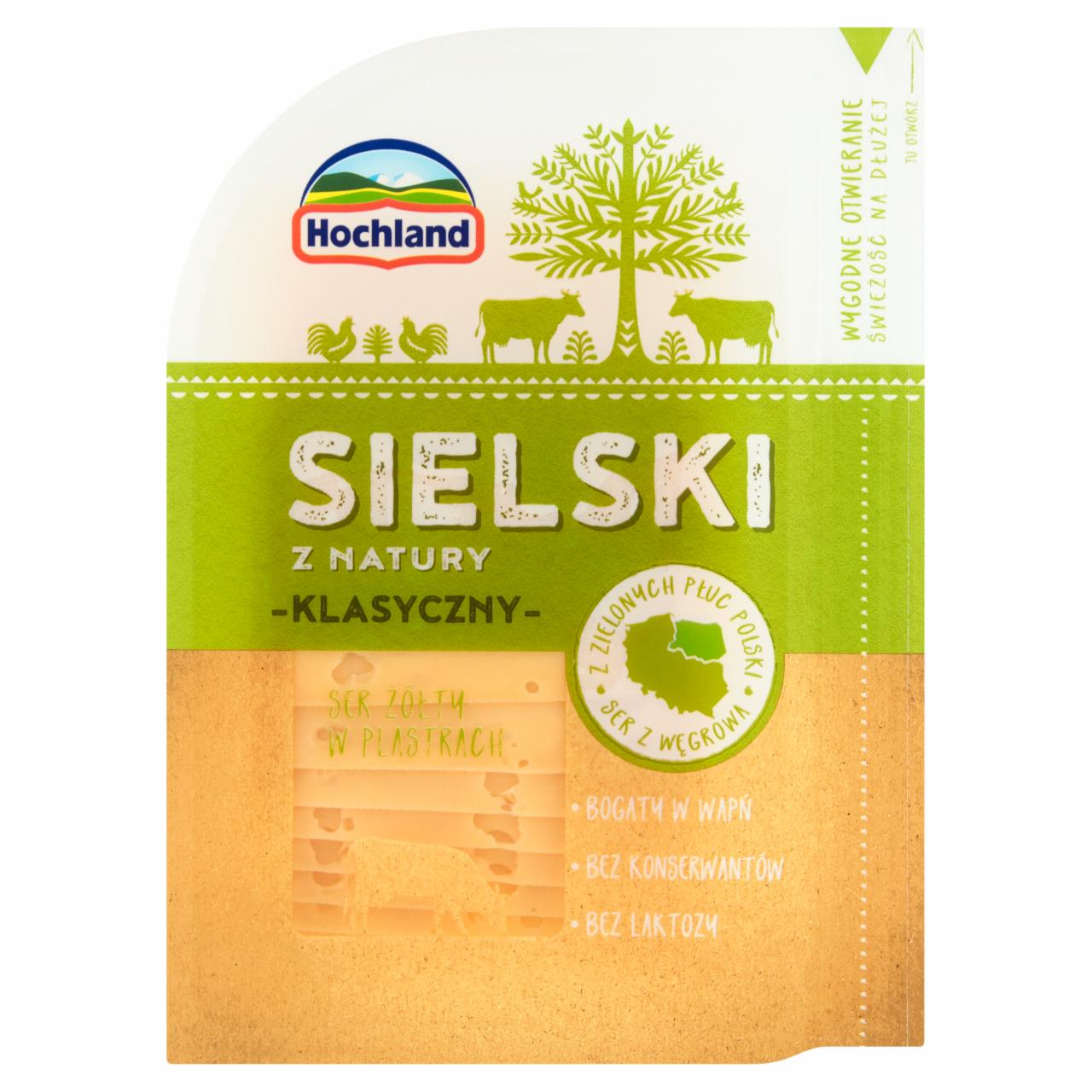 Zdjęcia - Hochland Sielski z Natury Ser żółty w plastrach klasyczny z dziurami 120 g