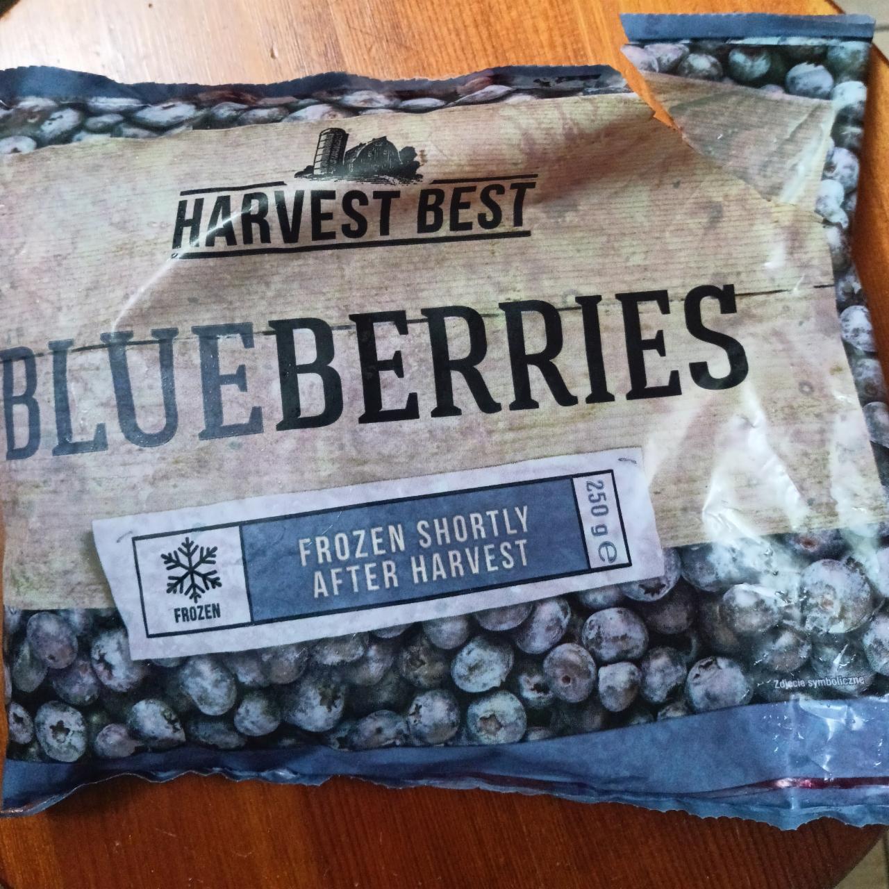 Zdjęcia - blueberries frozen Harvest Best