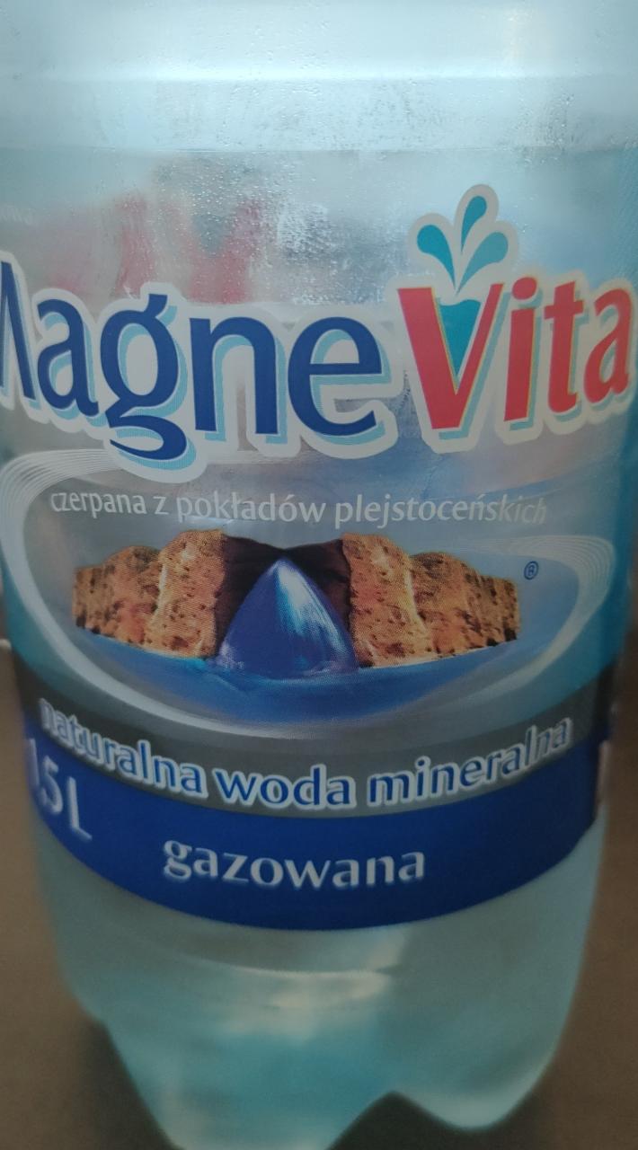 Zdjęcia - Naturalna woda mineralna Magnevita