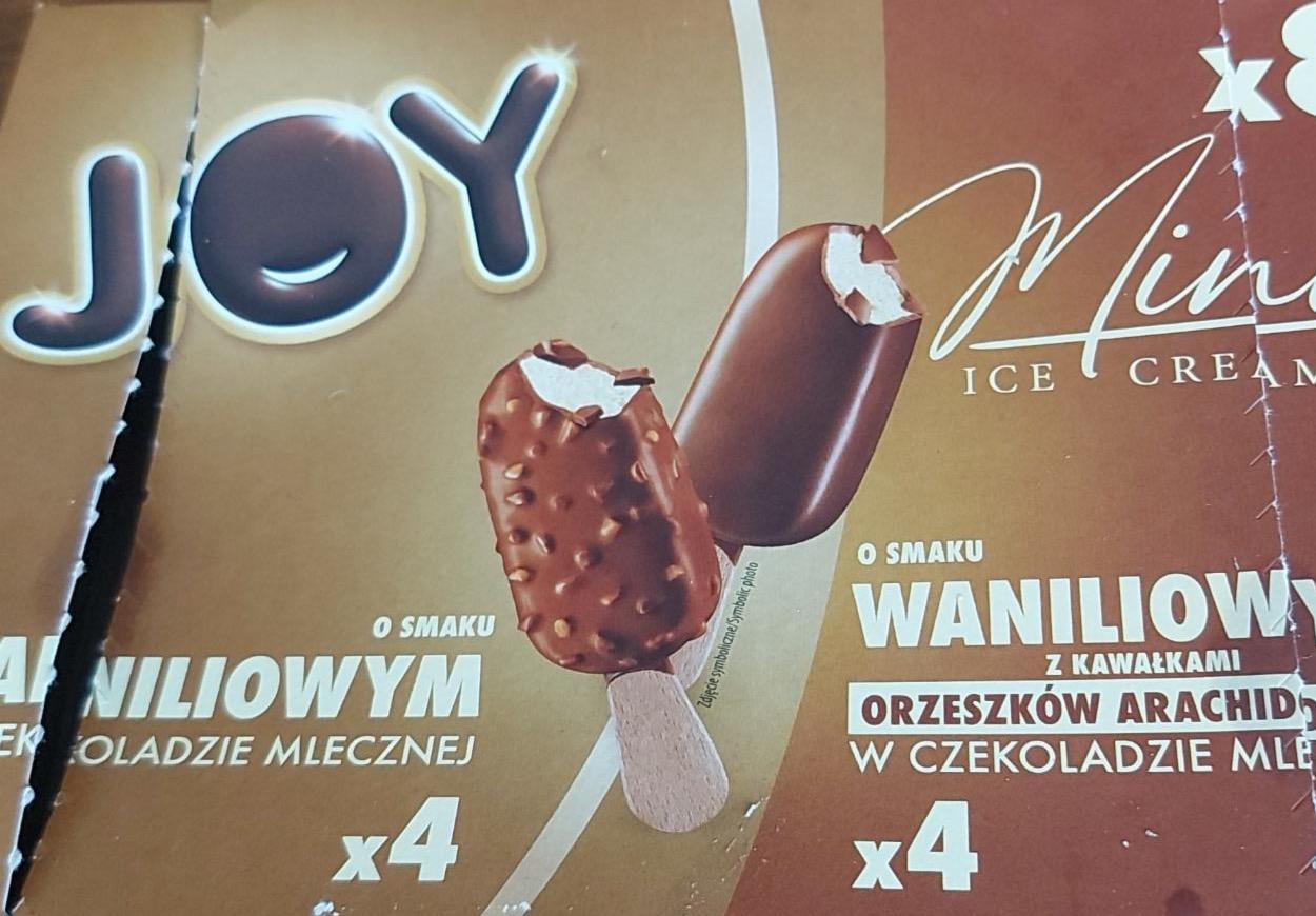 Zdjęcia - Lody multipack mini Joy