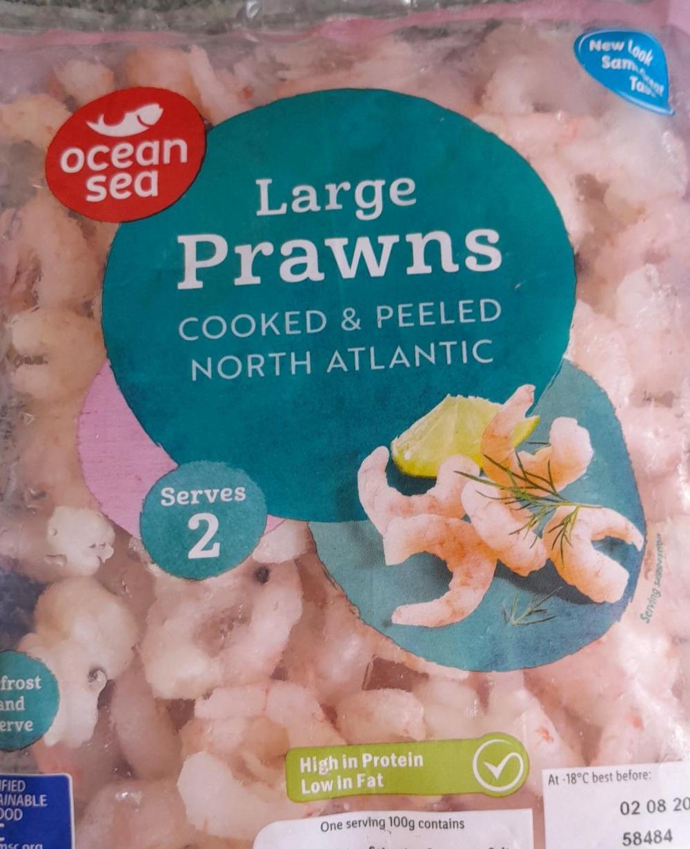 Zdjęcia - large prawns Ocean Sea