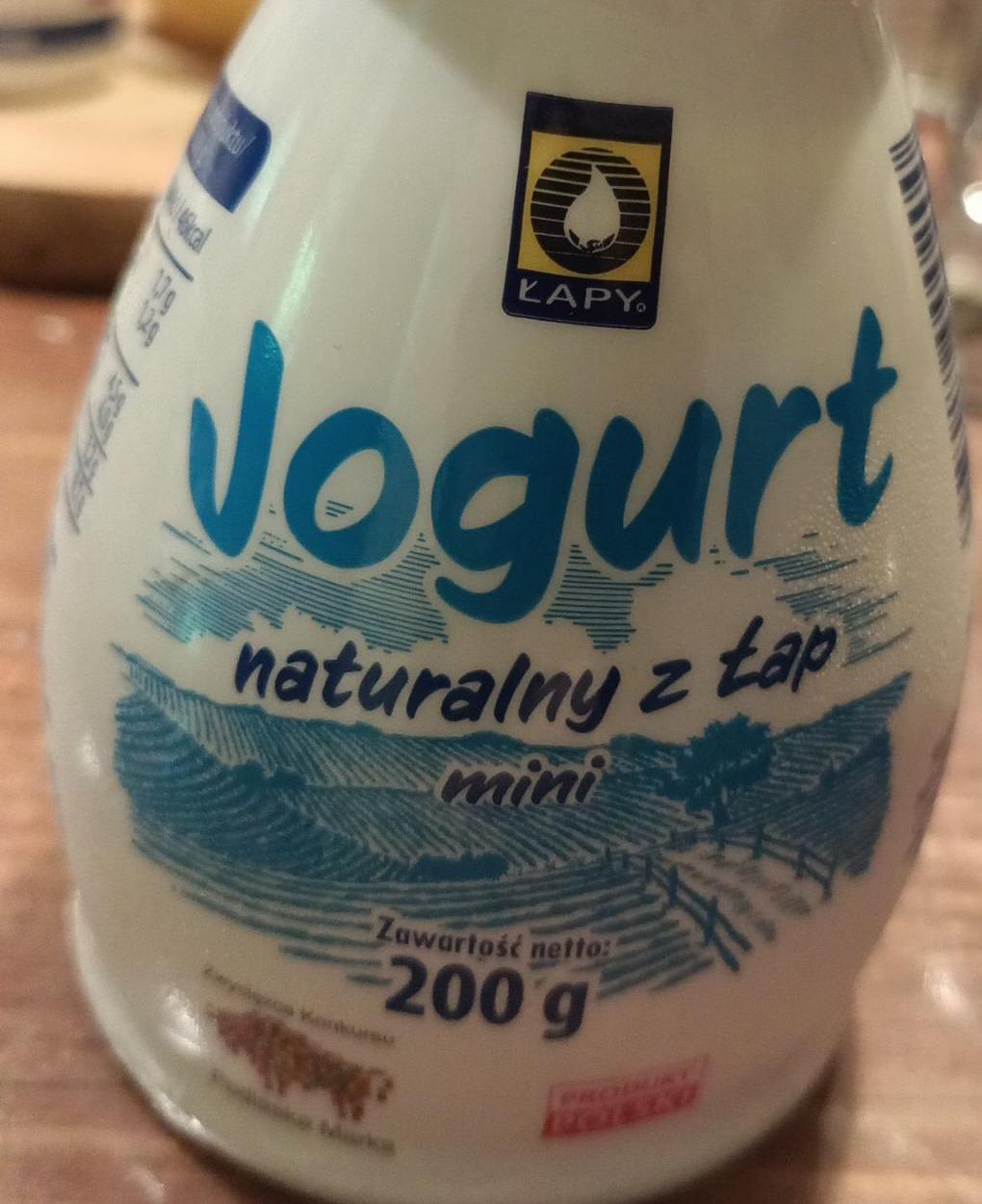 Zdjęcia - Jogurt naturalny z łap mini Łapy