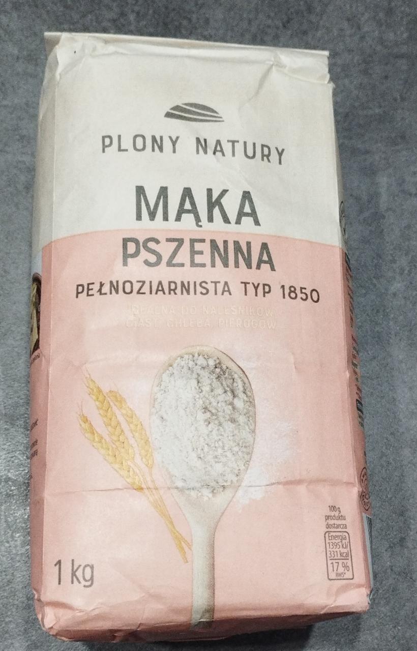 Zdjęcia - Mąka pszenna pełnoziarnista typ 1850 Plony Natury