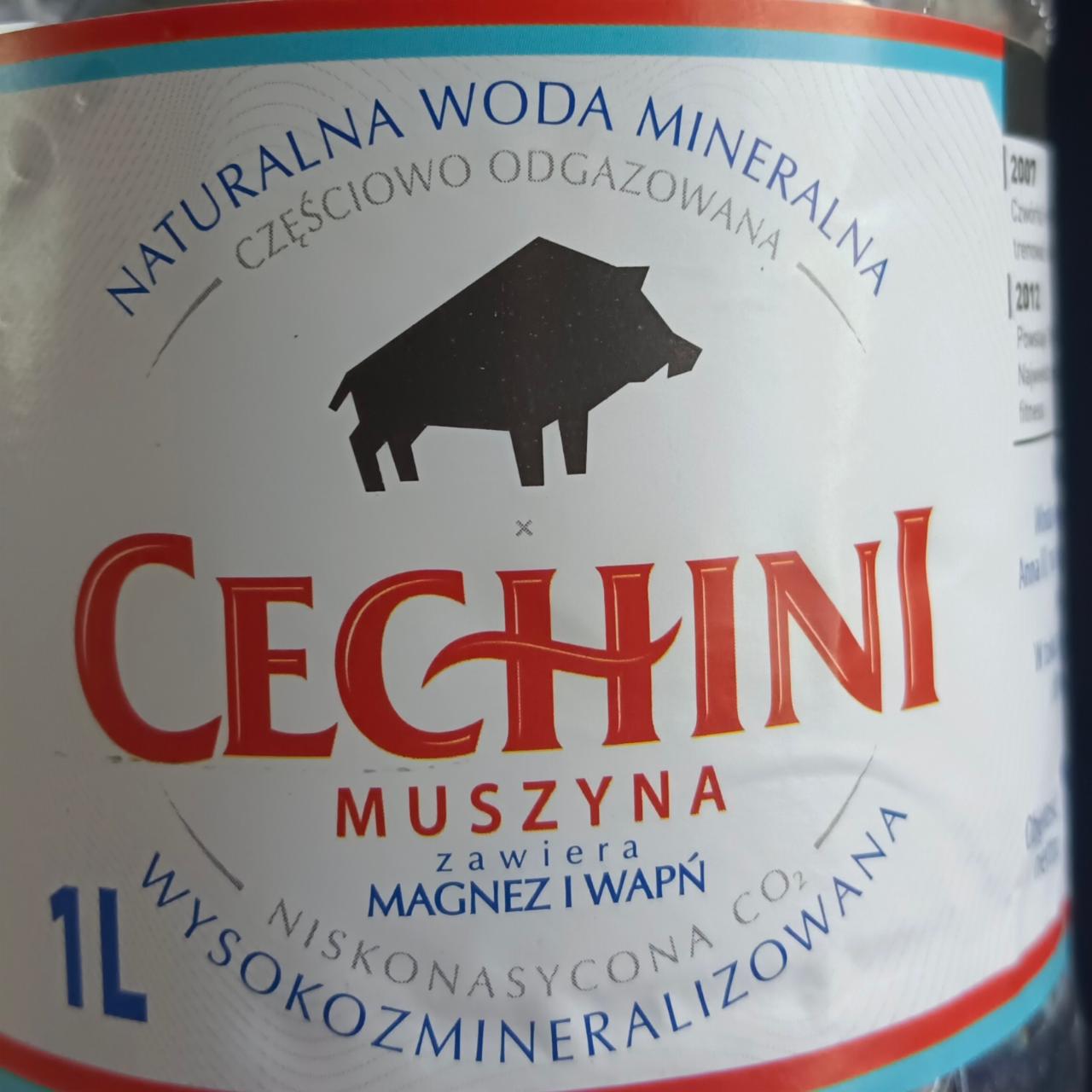 Zdjęcia - Woda wysokozmineralizowana cechini Muszyna