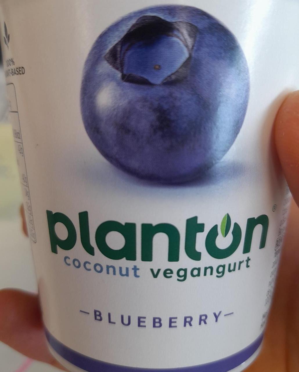 Zdjęcia - Planton Blueberry Vegangurt kokosowy 150 g