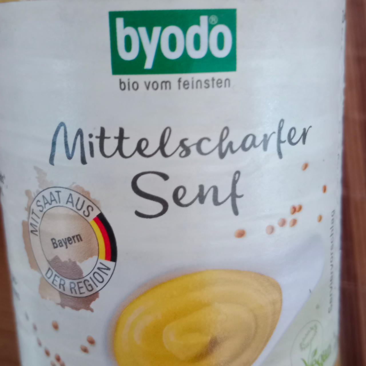 Zdjęcia - musztarda byodo bezglutenowa bez cukru