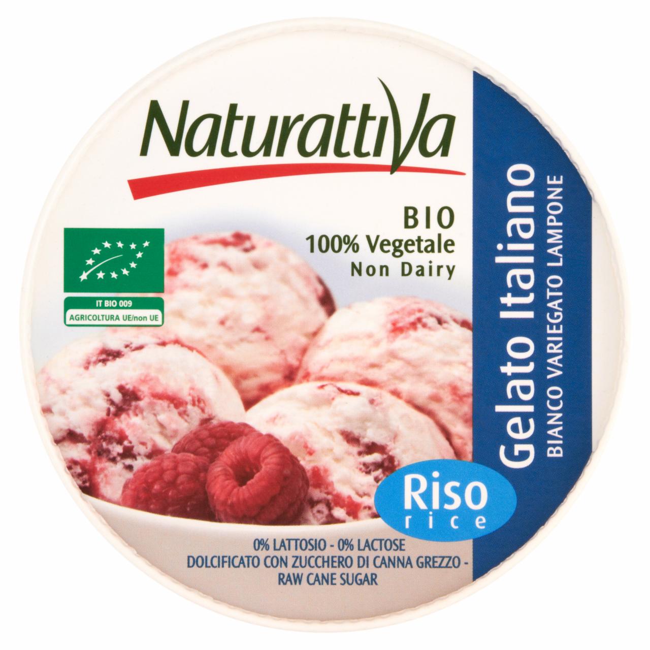 Zdjęcia - Naturattiva Lody ryżowe BIO waniliowe z malinami 400 g