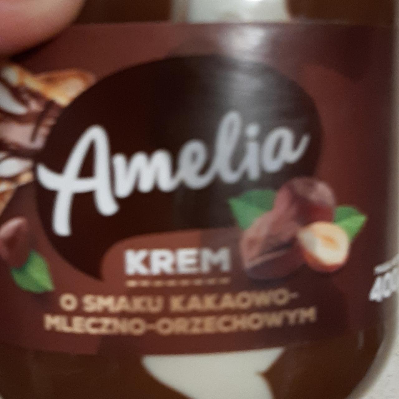 Zdjęcia - Krem o smaku kakaowo mleczno orzechowym Amelia