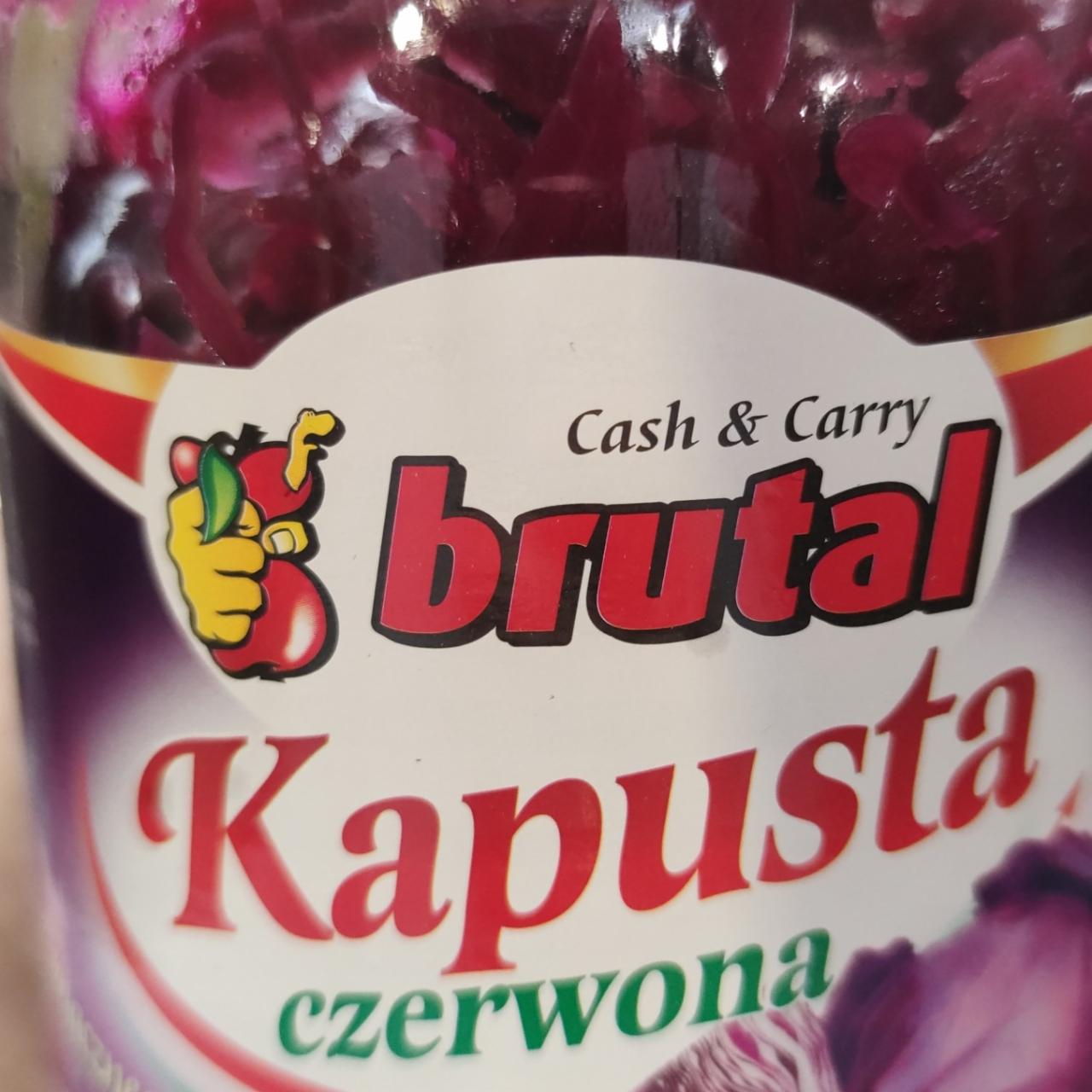 Zdjęcia - Kapusta Czerwona Brutal