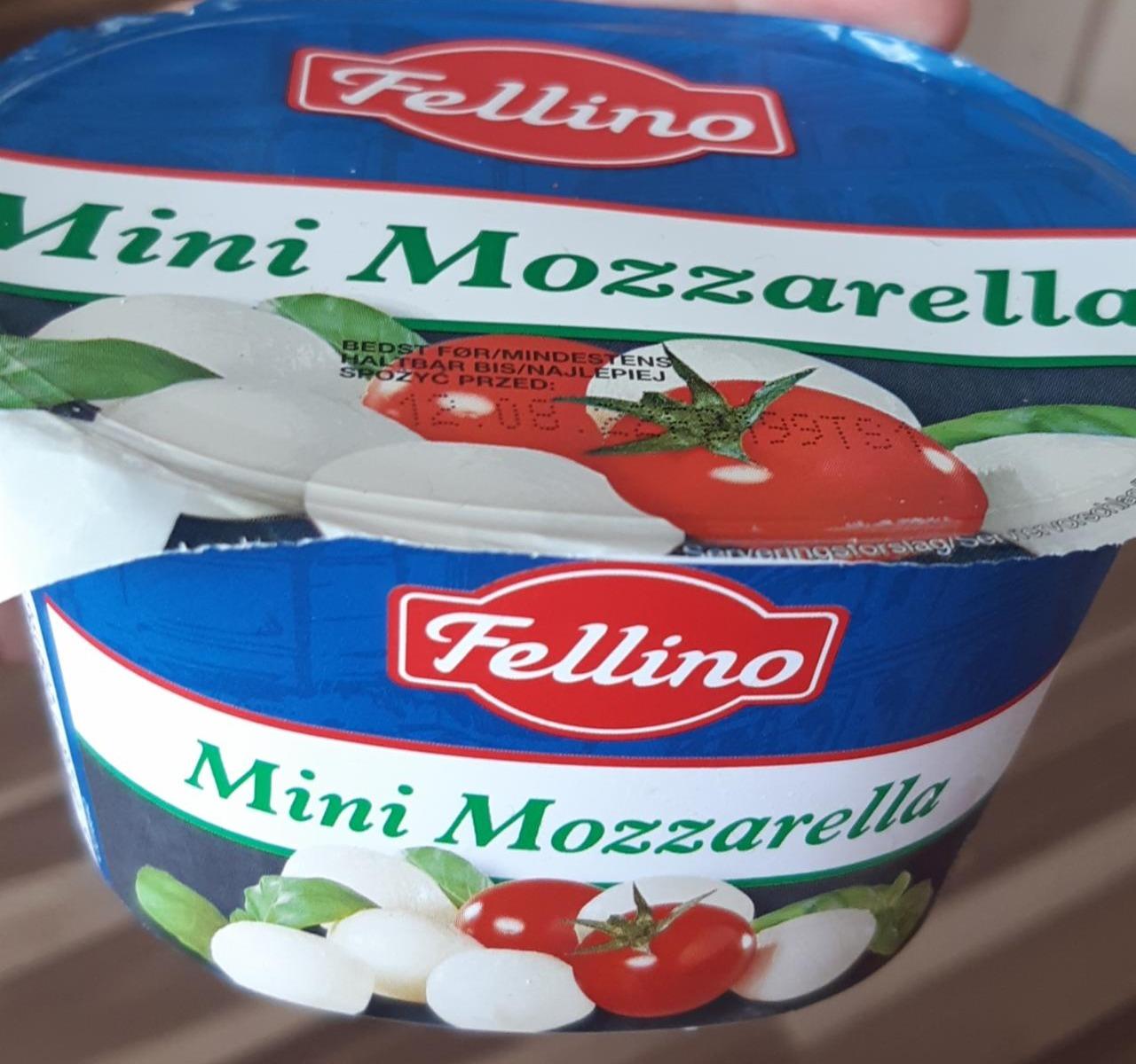 Zdjęcia - Mini Mozzarella Fellino