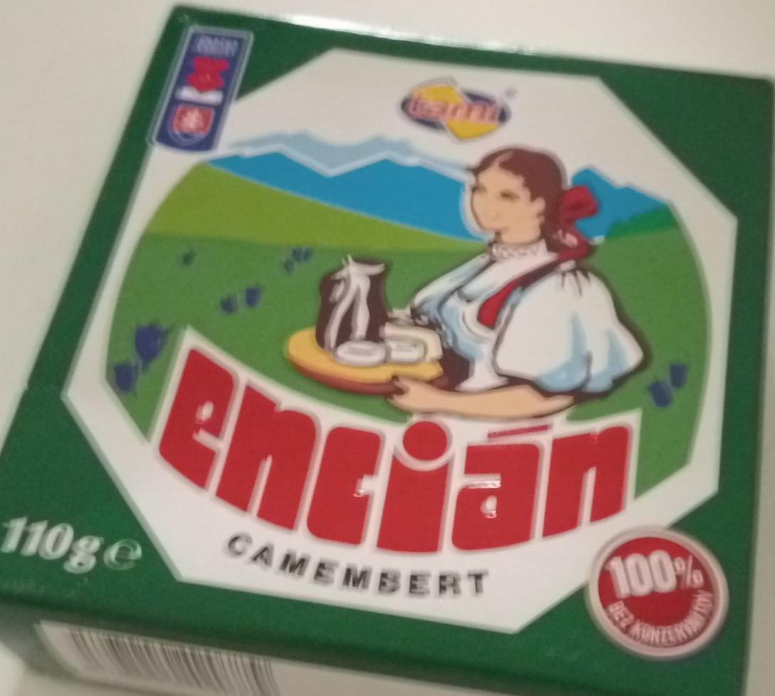 Zdjęcia - Encián camembert Tami