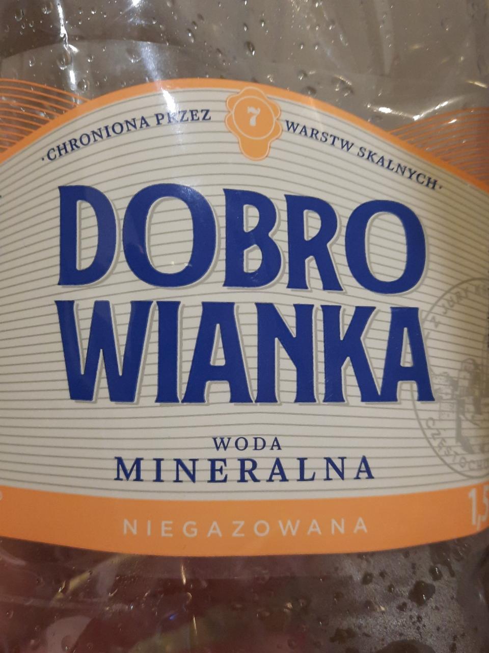 Zdjęcia - Dobrowianka woda mineralna niegazowana