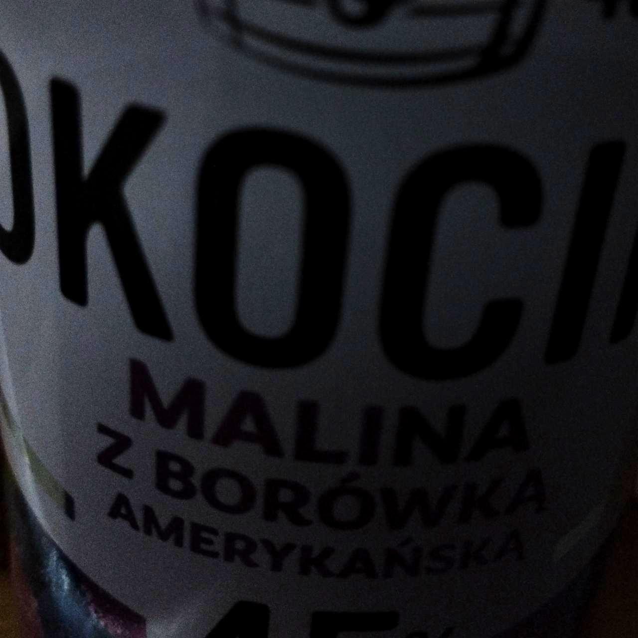 Zdjęcia - Piwo Okocim malina z borówką