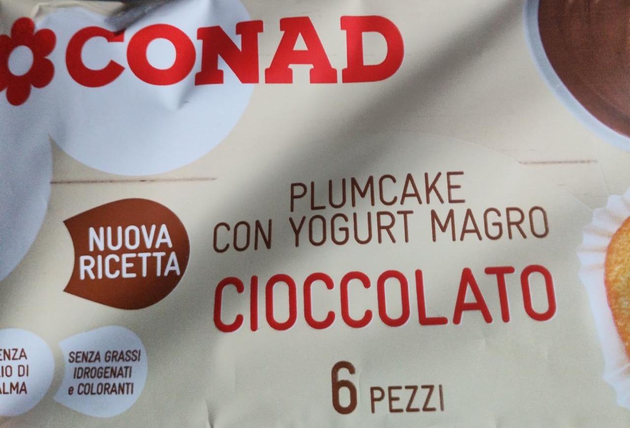 Zdjęcia - Plumcake con yogurt magro Cioccolato Conad